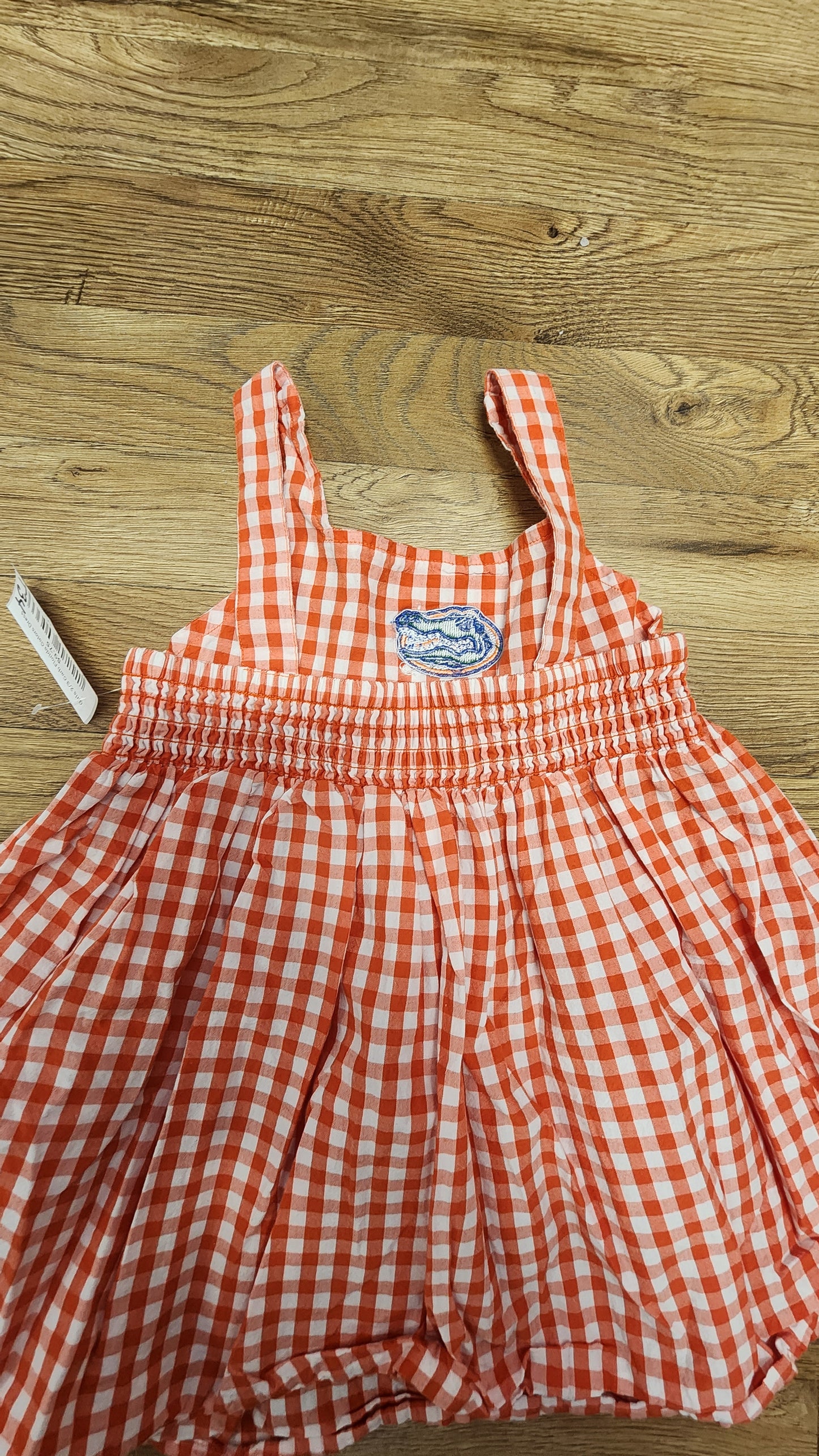 Girls 2t/3t Garb Florida Gators gingham dress